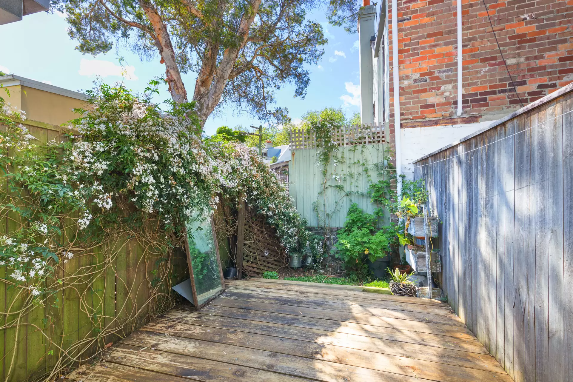42 Chisholm Street, Darlinghurst Leased by Ballard Property - image 8