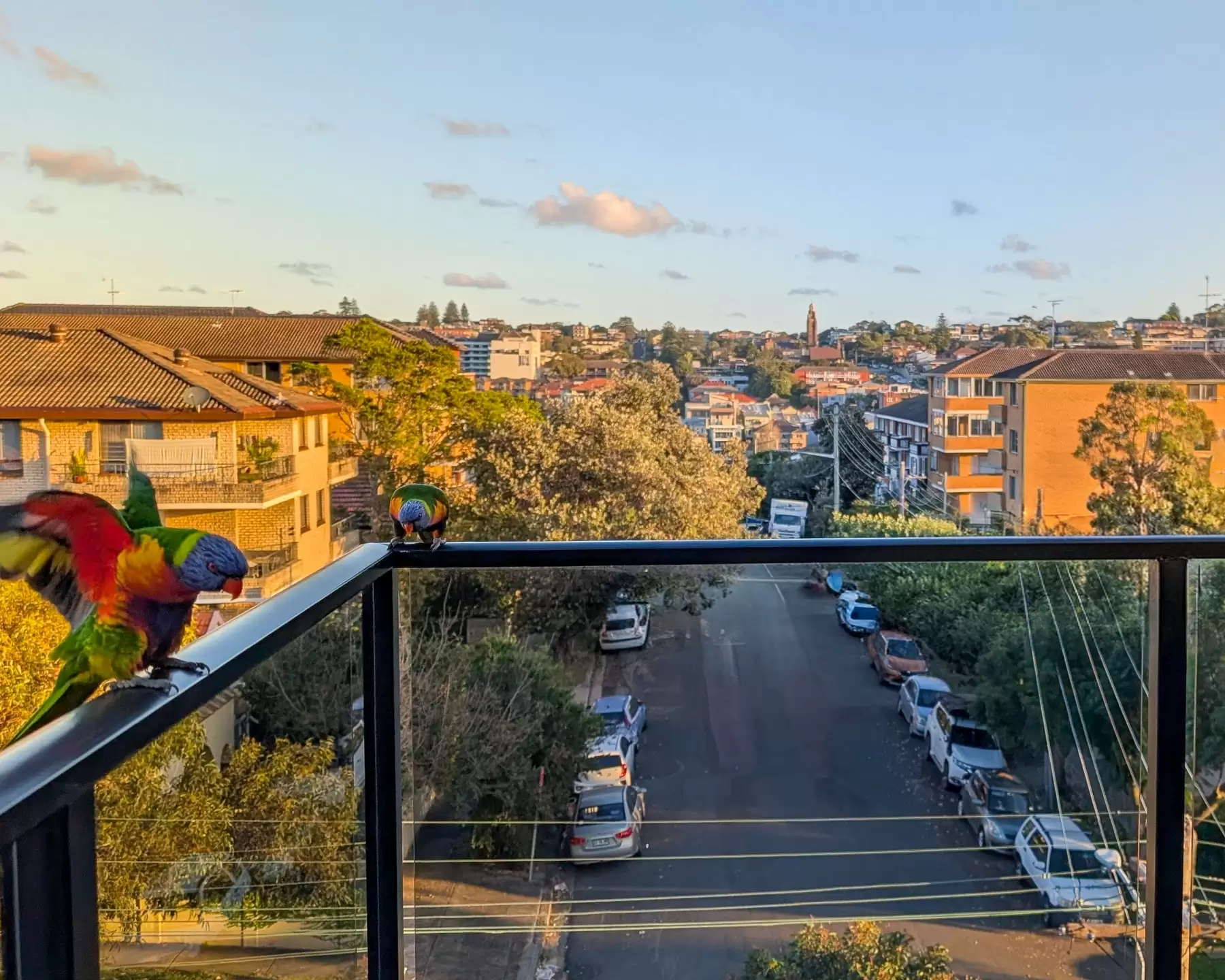 1/14 Arcadia Street, Coogee Leased by Ballard Property - image 3