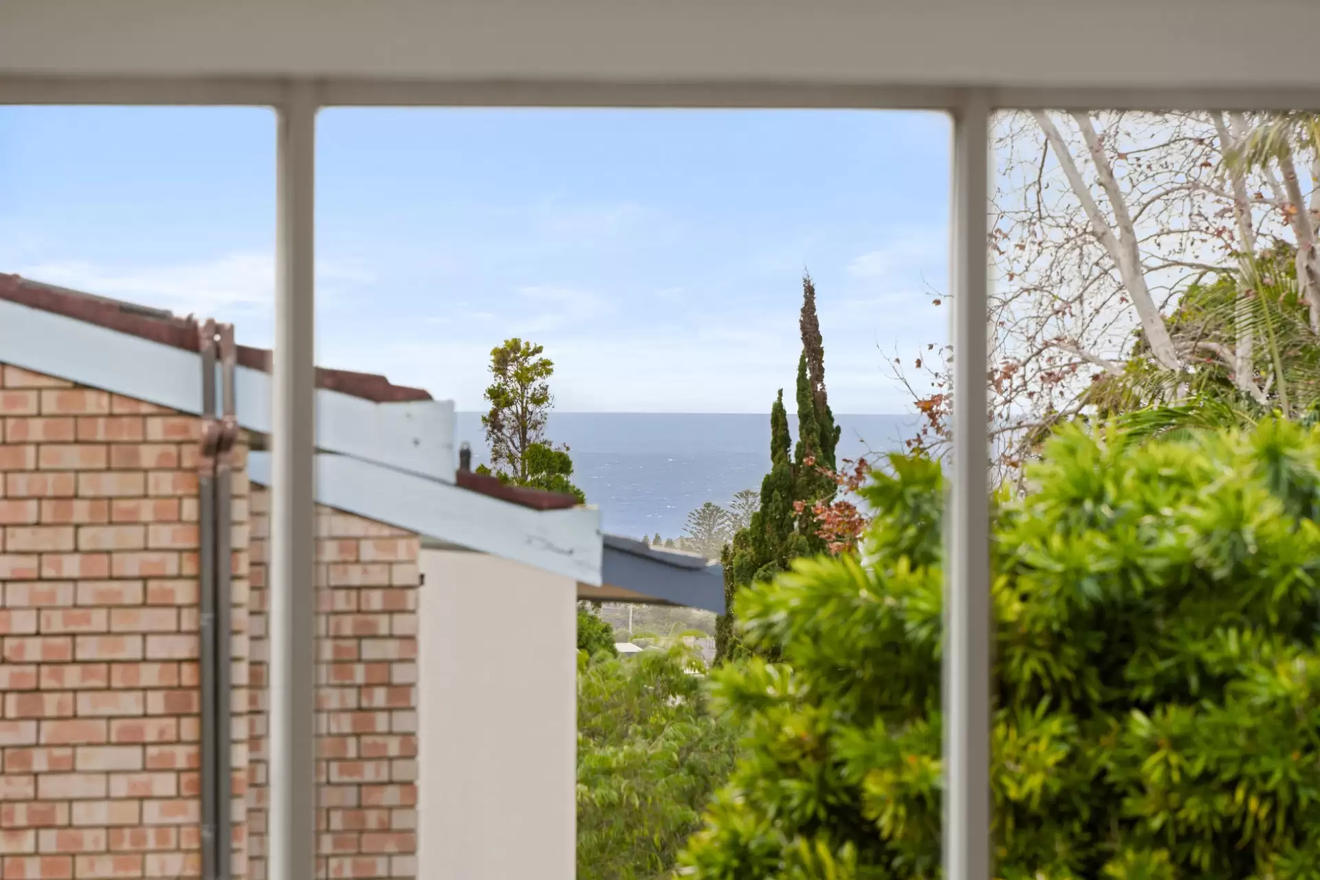 23-25 Fern Street, Clovelly For Lease by Ballard Property - image 9